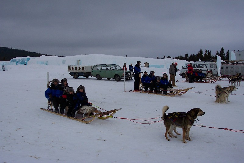 Time for our dog sled tour. Notice the Ice Hotel in the background